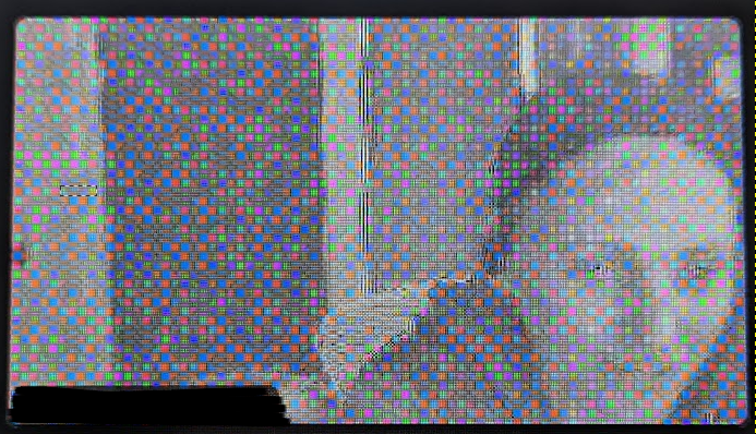 Screen grab of a Zoom meeting where one user's video stream has some glitchy distortion